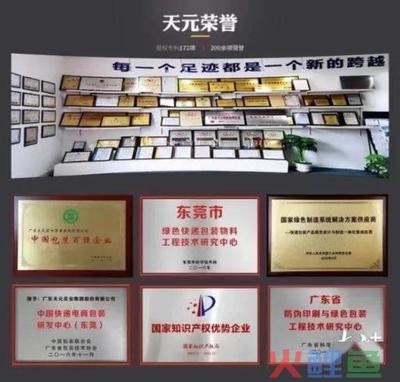 天元集团获专项补助，引领东莞新媒体品牌整合营销新篇章